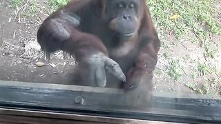We made a new friend today!