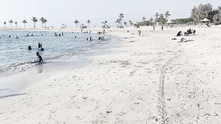 Beach life