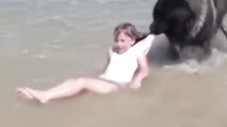 Dog saves little girl from drawing