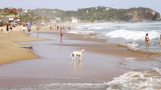 MEXICO'S NUDIST BEACH ???????? ZIPOLITE (OAXACA)
