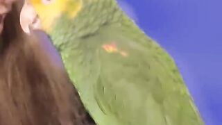 Echo the bird so smart