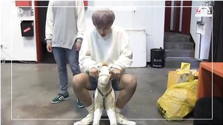 BTS taehyung being effortlessly funny