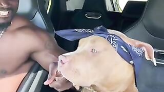 Max is the coolest dog ever lol