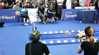 Who wins-Tortoise vs Hare???