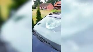 Stupidity at its best level