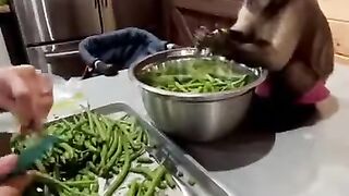 சமையலுக்கு காய்க்கறிகளை கழுவி கொடுக்கும் குரங்கு