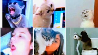 Pet funny #tik tok
