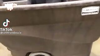Weird TikTok videos from the internet