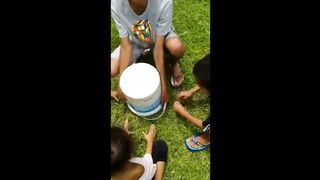prank tai sapi