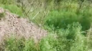 Fanny video 27