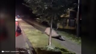 Most Incredible Moments ever caught on camera - wooooooo