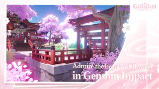 The flowers are blooming in Inazuma City