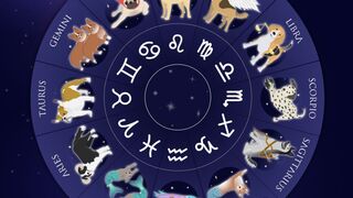 Facts About Zodiac Signs.