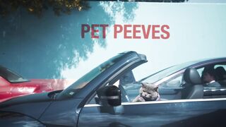 Pet Peeves  Driving