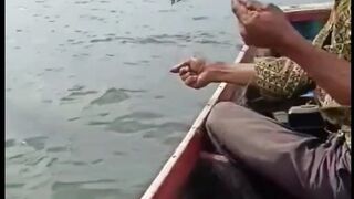 Pengalaman Strike Kakap Putih | Barramundi Strike Experience