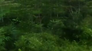 nature 19