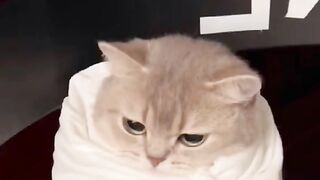 ???? i here momm
