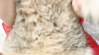 cute cat 28
