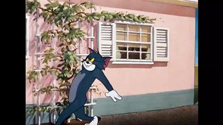Tom and Jerry Funny Video 4