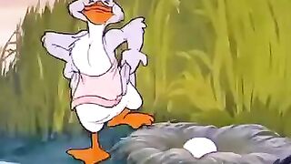 Tom and Jerry Funny Video 3