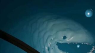 Monster sea found on the google map