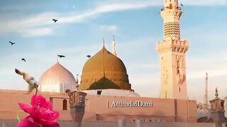 Lovily islaam