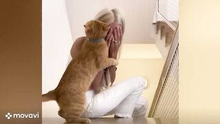 Funniest Animals 2023 - Funny Cats and Dogs - Funny Animal Videos 2