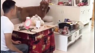 #4 Funny Asia