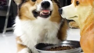 #10 Funny Asia