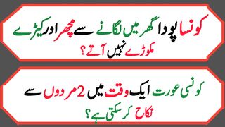 Dilchasp  paheliyan in Urdu | Islami sawal jawab |   questions with answers | پہلیاں 36