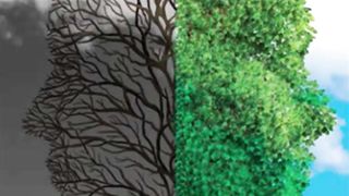 Bipolar Disorder overview