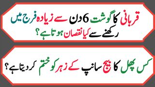 Dilchasp  paheliyan in Urdu | Islami sawal jawab |   questions with answers | پہلیاں 38