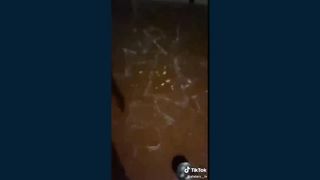 LES MEILLEURS TIKTOK FRANÇAIS DE 2022