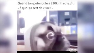 LES MEILLEURS TIK TOK Tik Tok francais