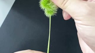 Creative grass