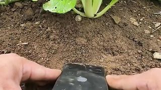 Astuce pour faire de belles vidéos