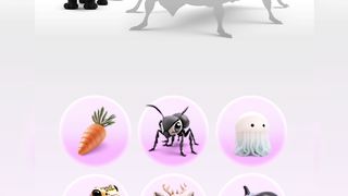 Geckopounce