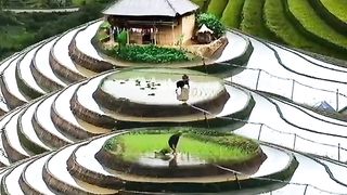 amazing nature 3