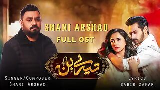 Tere bin full ost song