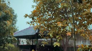 Cause you are the someone