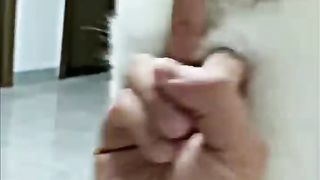 Kucing lucu tapi jadi marah tambah lucu