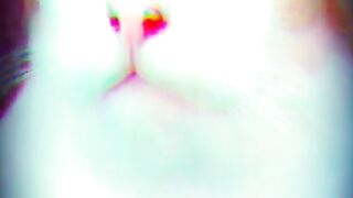 Catslover 2