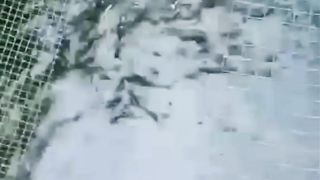 Budidaya ikan lele skala kecil
