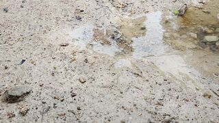 Random video 12