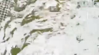 Budidaya ikan lele skala kecil ❗ perhatikan 3 hal ini