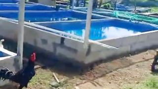 18 unit kolam ukuran 2x4 meter budget 15jt❗ Alhamdulillah selesai