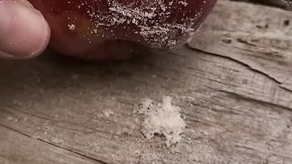 Start a fire with an apple and a broken empty lighter ????????