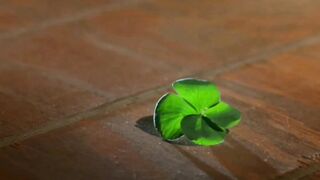 Leprechaun The Movie