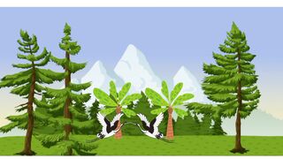 Cartoon animation 3