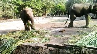 Taman hiburan gembira loko yogyakarta